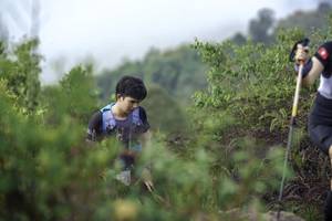 BIB: 
                            <button type="button" onclick="openModal(24760780)" class="btn btn-primary btn-sm float-right btn-popup" data-toggle="modal" data-target=".modal-high-quality">
                        <i class="fas fa-shopping-cart"></i> Add to Cart
                    </button>
                                            <button type="button" onclick="isThisMe(24760780, true)" class="btn btn-success btn-sm float-right btn-popup btn-isme hidden" data-toggle="tooltip" data-placement="bottom" title="นี่คือรูปของคุณใช่ไหม คลิกที่นี่เพื่อเอาเข้าอัลบั้ม">
                        <i class="fas fa-plus"></i> Add to album
                    </button>
                    <button type="button" onclick="isThisMe(24760780, false)" class="btn btn-warning btn-sm float-right btn-popup btn-isnotme hidden">
                        <i class="fas fa-ban"></i> Remove from album
                    </button>